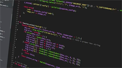 Imagen de la actividad