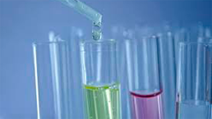 Imagen de la actividad