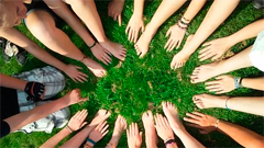 Imagen de la actividad