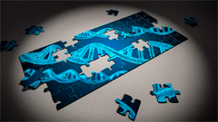 Imagen de la actividad