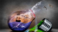 Imagen de la actividad